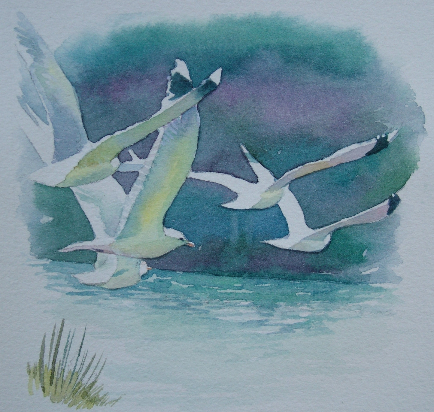 Måsane over Storavatnet