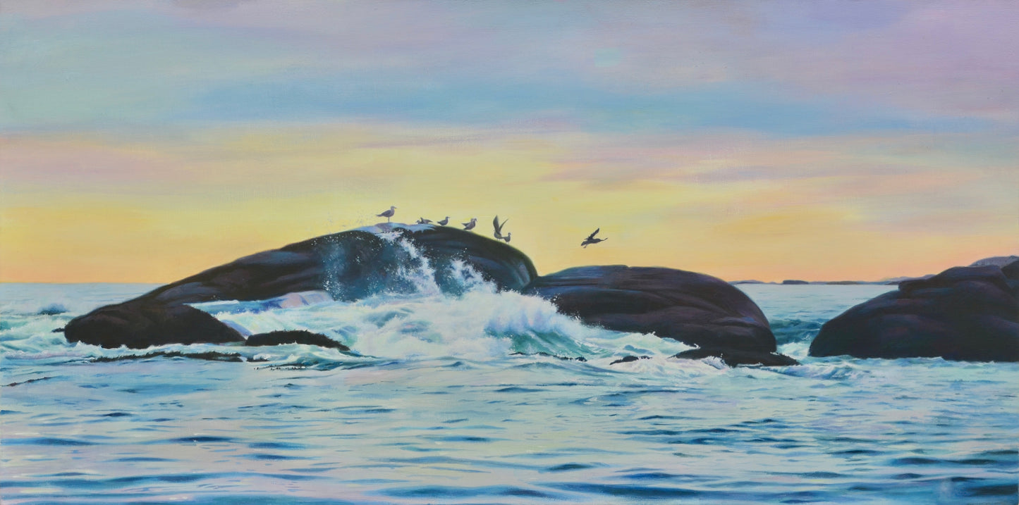 Måsane på Søra Tedneskjærer